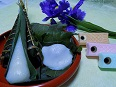 柏餅始めました！