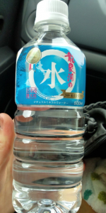龍泉洞の水