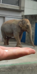 動物園