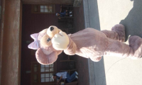 ディズニーシー