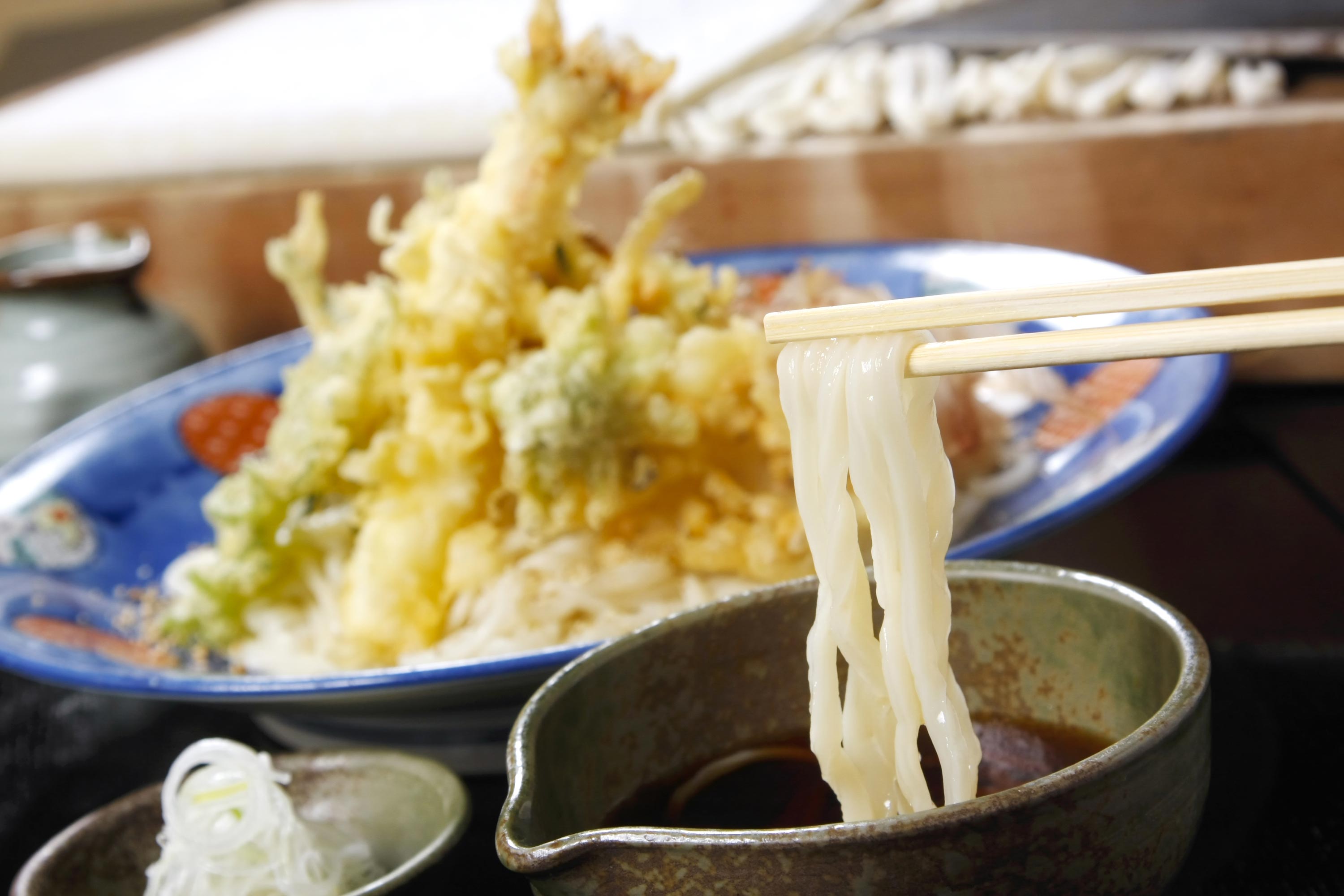 季節の天おろしまゆうどん