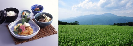 吟醸麹漬けは美味しかった