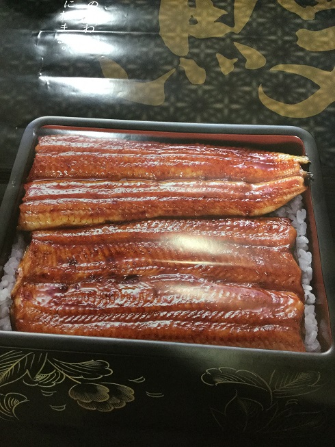 お得なお知らせ