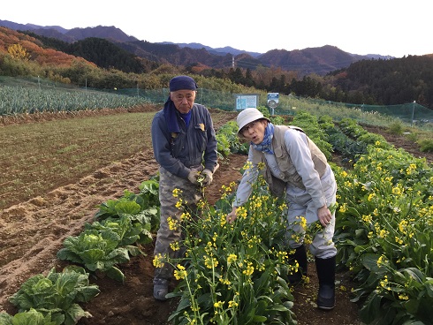 お邪魔しました大沢農園さんへ