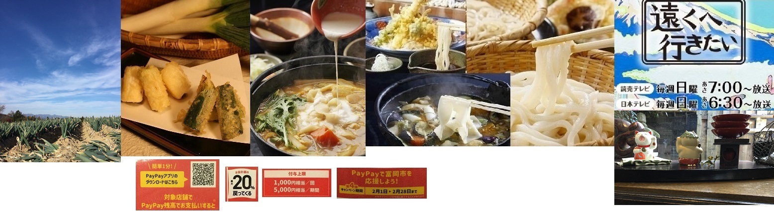 20:29好評「遠くへ行きたい」まゆうどん＋下仁田ねぎ天