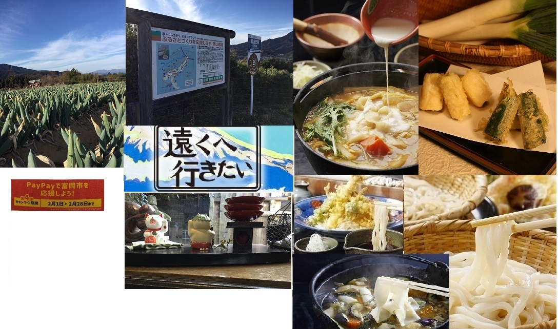 16:53好評「遠くへ行きたい」まゆうどん＋下仁田ねぎ天
