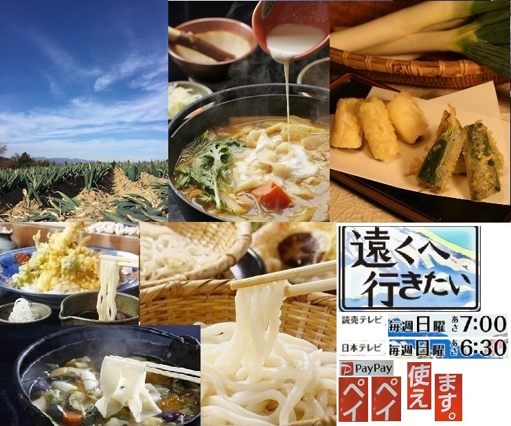 17:11好評「遠くへ行きたい」まゆうどん＋下仁田ねぎ天