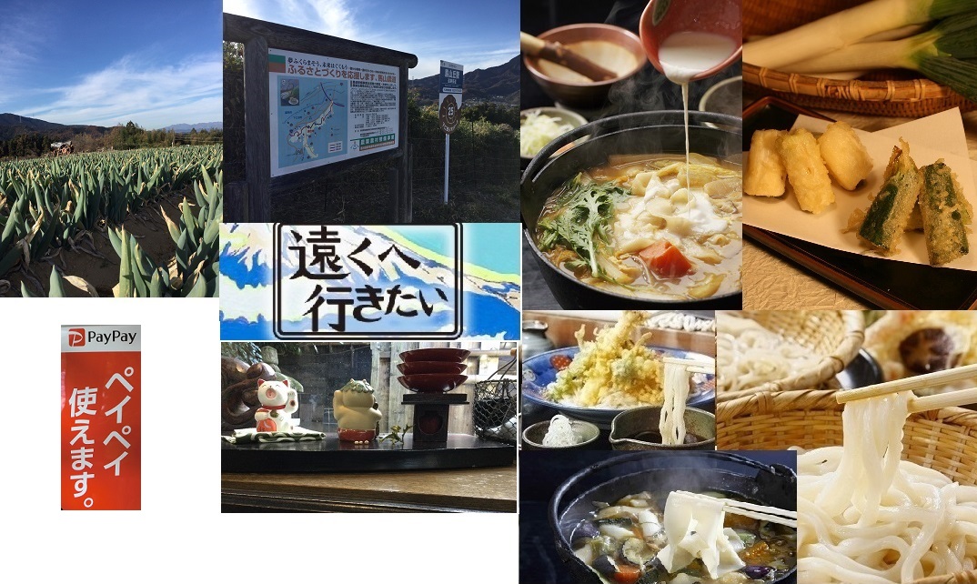 20:40好評「遠くへ行きたい」まゆうどん＋下仁田ねぎ天