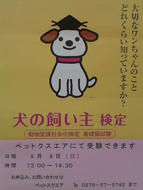 ‱・‱・受験しませんか‱・‱・