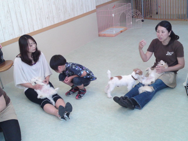 ‱・‱パピーパーティ‱・‱