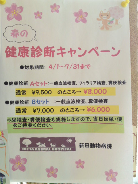 ‱・‱キャンペーン期間〆近し‱・‱