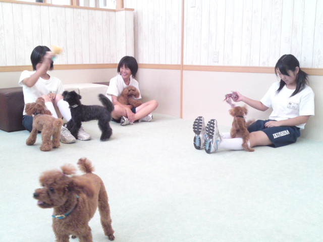 ‱・‱実習生‱・‱