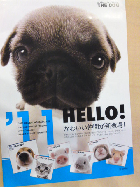 ‱・‱お知らせ‱・‱