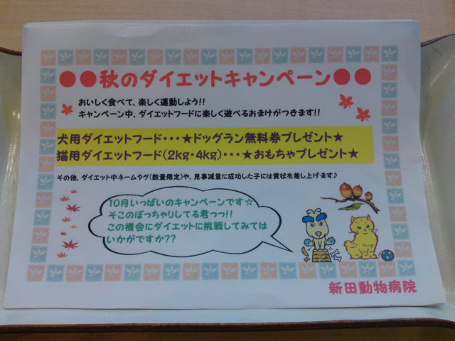 ‱・‱秋のダイエットキャンペーン‱・‱