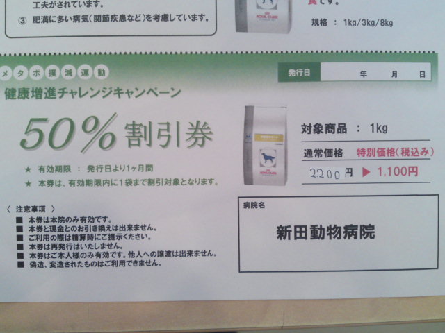 ‱・‱割引キャンペーン‱・‱