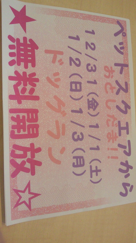 ‱・‱おしらせ‱・‱