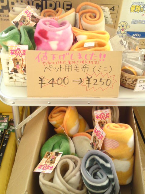 ‱・‱おしらせ　１‱・‱