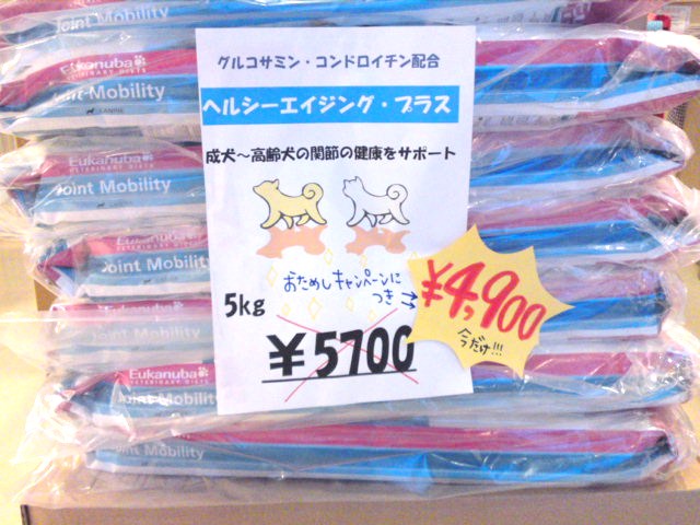 ‱・‱お知らせ‱・‱