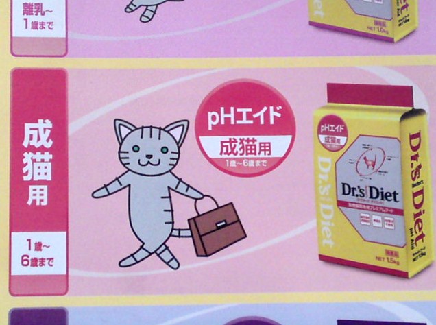 ‱・‱お知らせ‱・‱