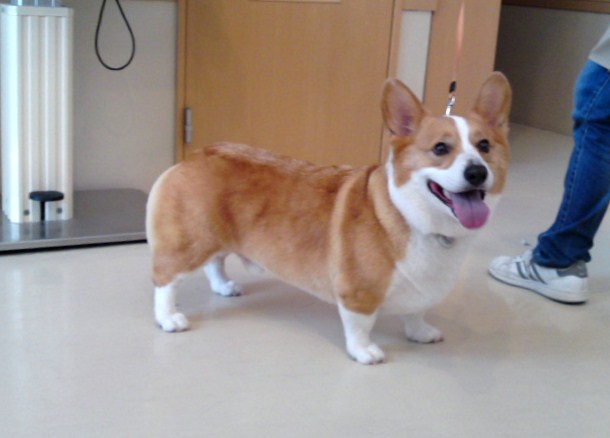 ‱・‱トリミング‱・‱