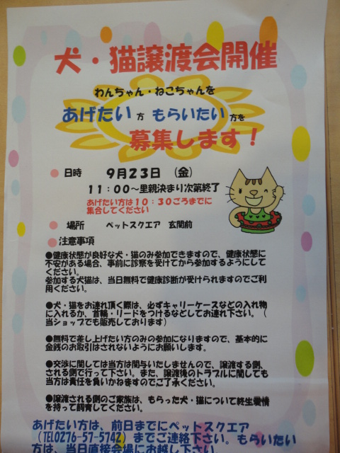 ‱・‱ イベント！！～画像‱・‱