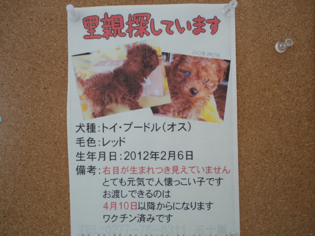 ☆里親☆