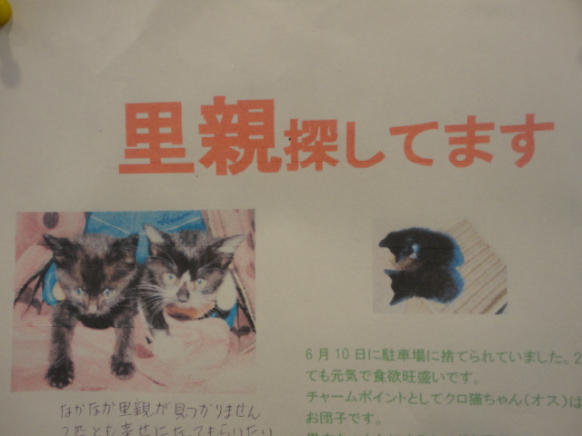 里親Ｕ・×・Ｕ募集