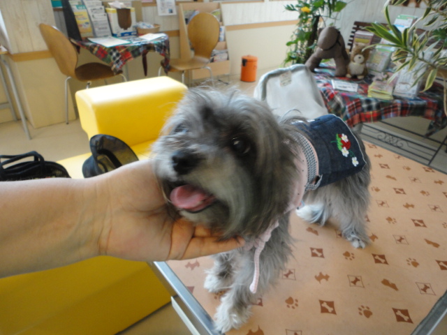 （＾・エ・＾）{おともだち♪