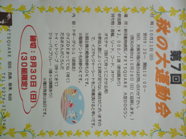 第7回　秋の大運動会