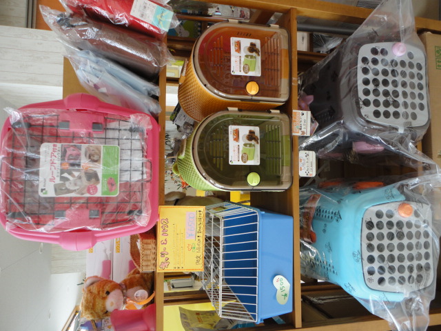 入荷のお知らせ♪