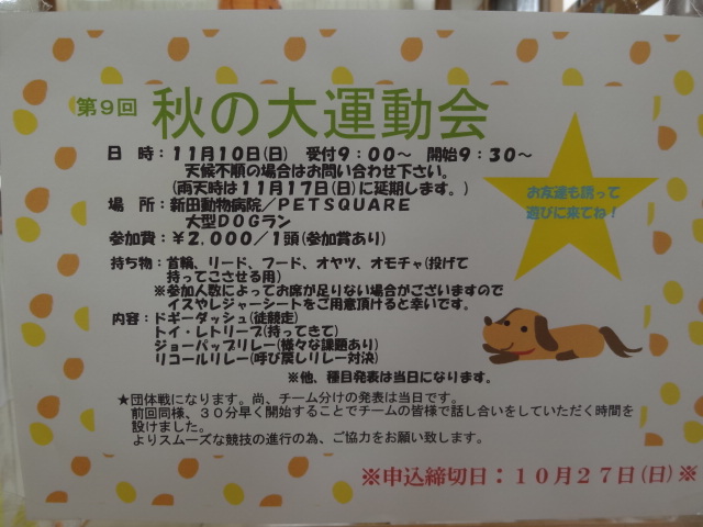 秋の大運動会♪