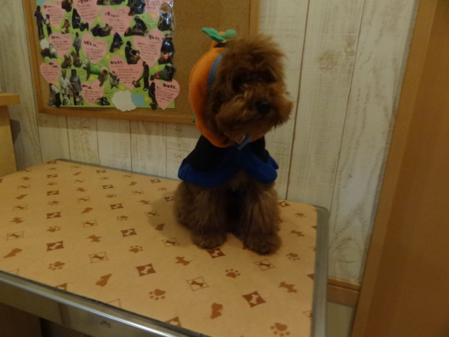 ハッピーハロウィン