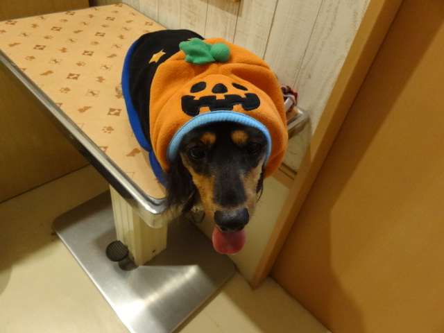 ご試着姿をパシャリ★①