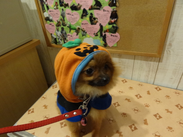 ご試着姿をパシャリ★②