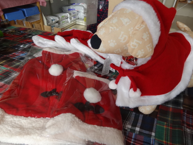 いよいよ、クリスマス♪