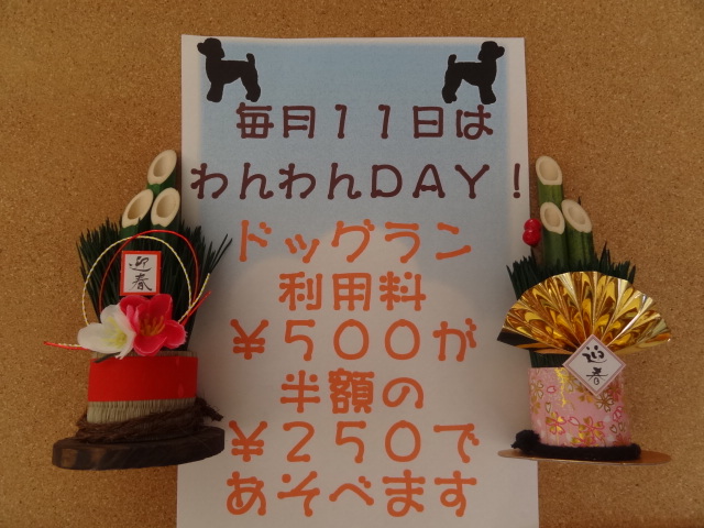 (＾・ェ・＾)♪わんわんDAY♪(＾・ェ・＾)