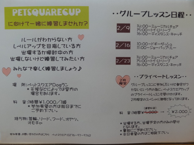 ☆PETSQUARE　CUP☆