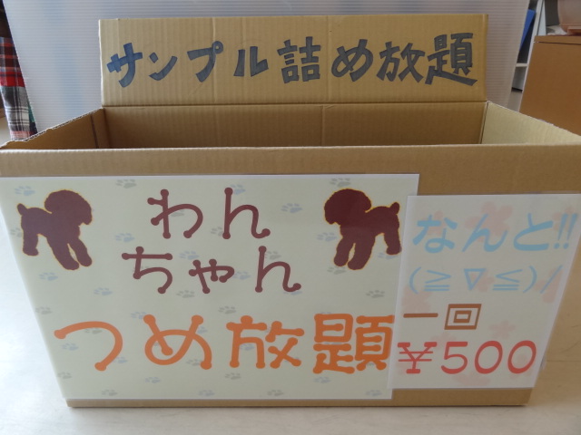 ♫アウトレット♫