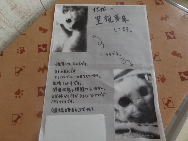 里親募集