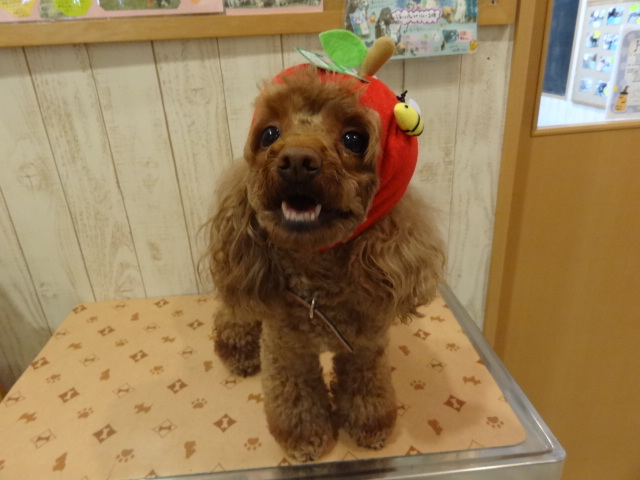 台風・・・