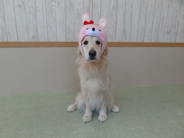 もうすぐ・・・