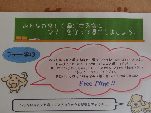 わんわんDAY！！