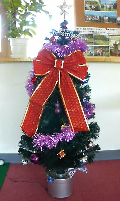 Christmasが近い…(￣▽￣;)