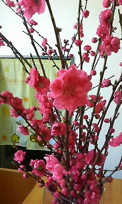☆ももの花☆