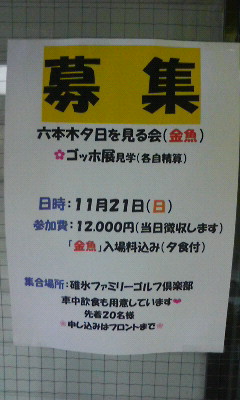 東京散策ツアー♪