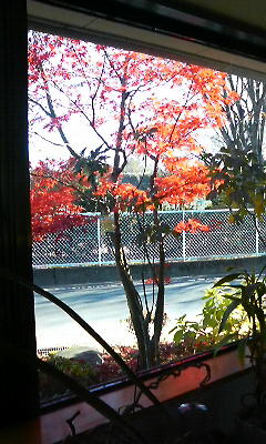 これどこ？でしょぅ(*_*)