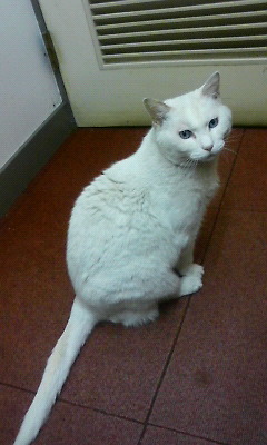 ももちゃん★