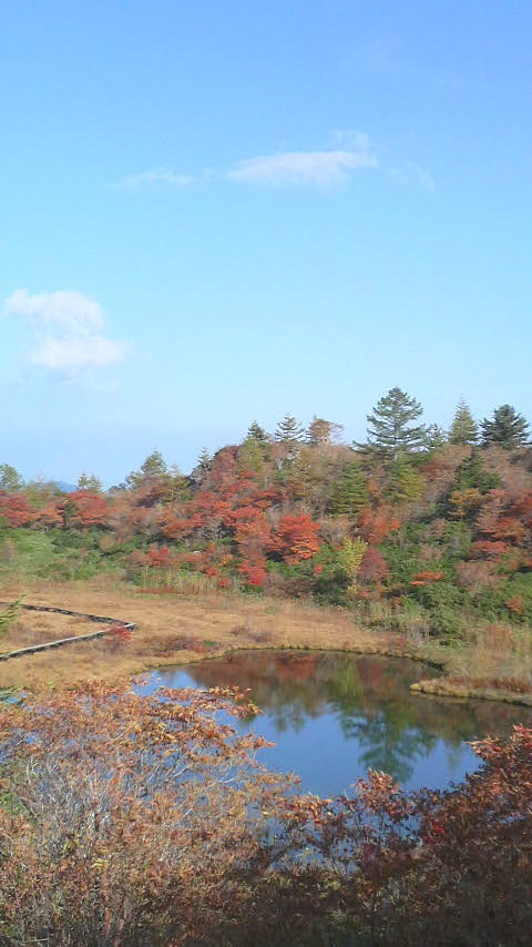 〜秋景色〜