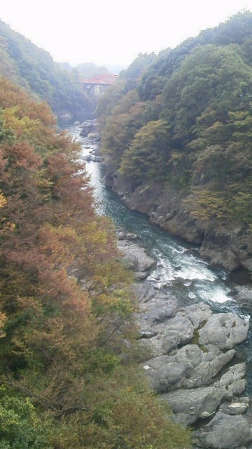 今日から１１月…