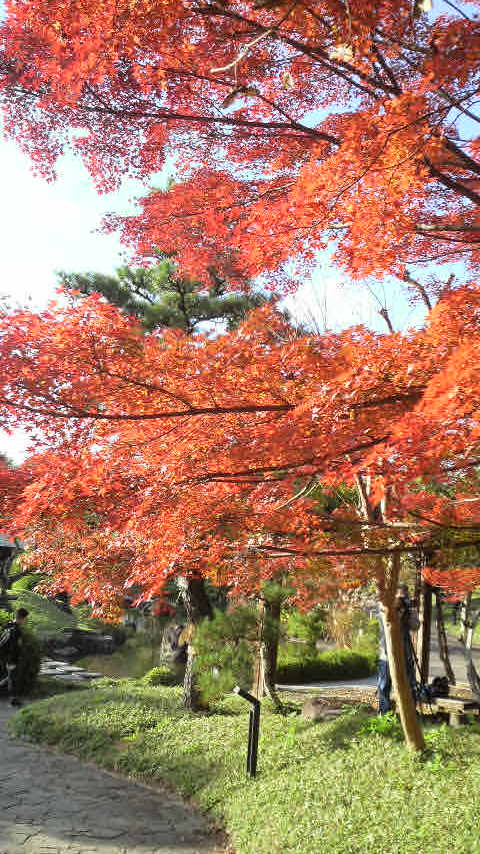 〜 紅 〜
